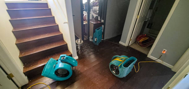 Best Water damage contractors near me  in La Habra, CA