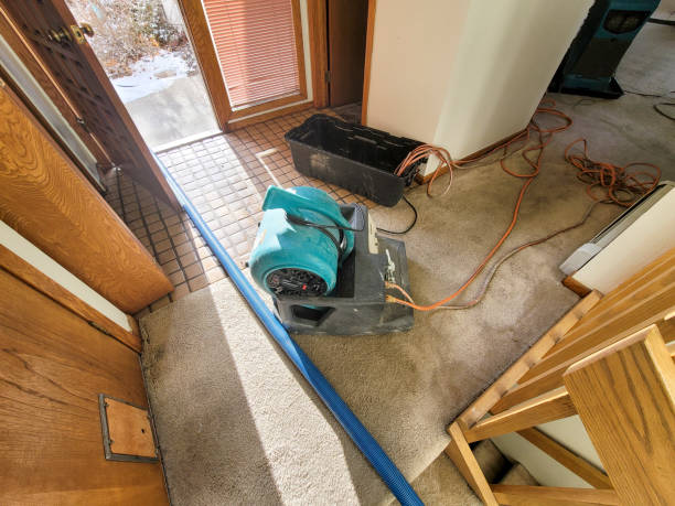 Best Ceiling water damage repair  in La Habra, CA