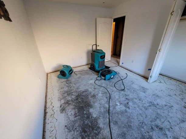 Best 24/7 water damage repair  in La Habra, CA