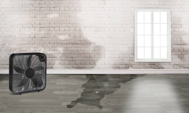 Best Emergency water damage restoration  in La Habra, CA