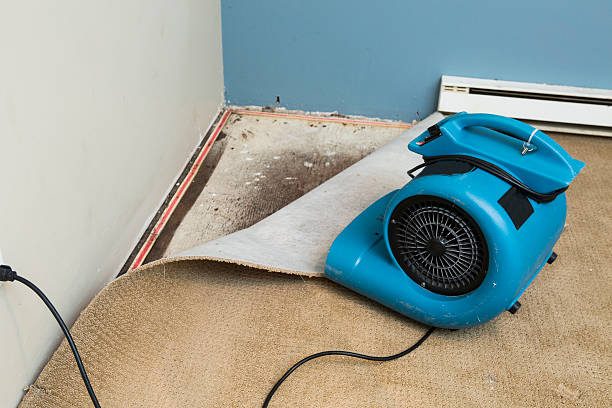 Best Flood damage cleanup  in La Habra, CA